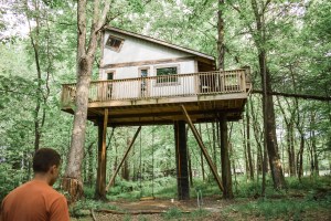 Tin Shed tree house